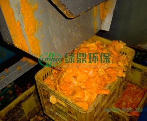 大型的橙子橙汁壓榨機是怎樣的？
